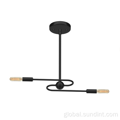 Pendant Light Modern Style S-shape Metal Led Pendant light Manufactory